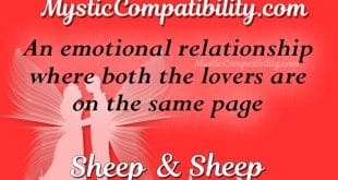 sheep sheep compatibility