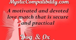 dog ox compatibility