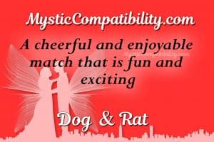 Dog Rat Compatibility - Mystic Compatibility