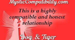 dog tiger compatibility