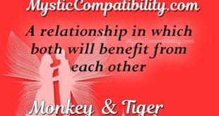 monkey tiger compatibility