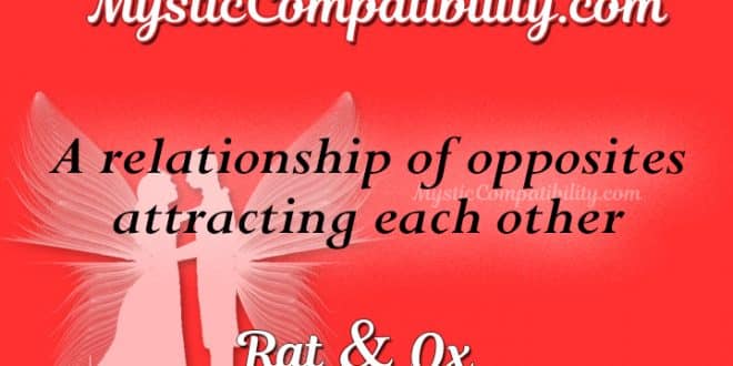 rat-ox-compatibility-mystic-compatibility