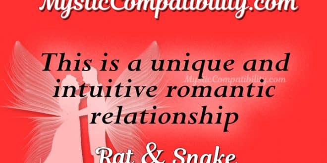 rat-snake-compatibility-mystic-compatibility