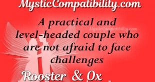 rooster ox compatibility