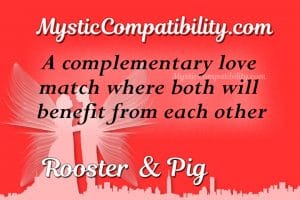 Rooster Pig Compatibility 300x200 