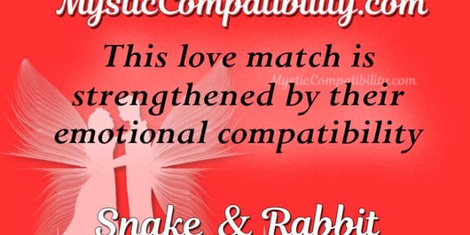 snake-rabbit-compatibility-mystic-compatibility